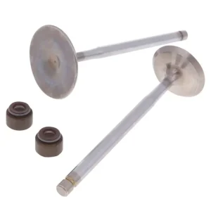 Sací / výfukové ventily Malossi racing, Aprilia, Malaguti, MBK, Yamaha Maxi Scooter Časově Omezené