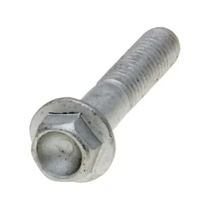 Objednat Nyní Šroub s límcem OEM M6x30