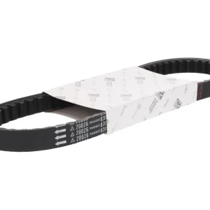 Řemen OEM 732mm Piaggio krátký blok Kup Teď