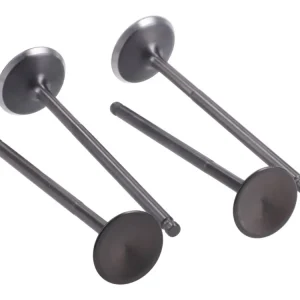 Sada ventilů Naraku 22/25 Yamaha X-Max, YZF, WR 125 4V Moderní