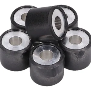 Ihned K Objednání Sada válečků Piaggio OEM 19x17 - 8.50g - 6ks