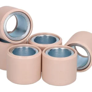 Omezená Nabídka Válečky variátoru OEM pro originální variátor 25x22 - 28,00 g - 6 ks