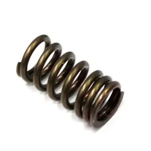 Nová Kolekce PSYCHIC pružina výfukového ventilu KAWASAKI KXF 250 04-18, SUZUKI RMZ 250 04-17, GSX-R 750 06-17, GSX-R 1000 05-06 (MX-09509ES) - nahrazuje XU-09529IS a XU-09505ES