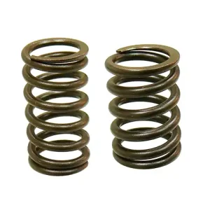 PSYCHIC pružina sacího/výfukového ventilu KTM 450/520/525, BETA RR 400/450/525 ENDURO Výprodej