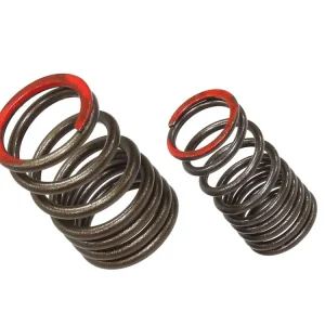 PSYCHIC pružina výfukového ventilu KAWASAKI KXF 450 (KX 450F) 16-18 Trendový