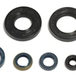 Nejprodávanější ATHENA sada gufer motoru HUSQVARNA WR 250 92-98, WR 360 92-99, CR 250 91-96