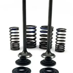 Trendový PSYCHIC sací ventily (komplet 2 kusy. ventilů s pružinami a podložkami) HONDA CRF 250 F 19-24 ocel