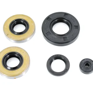 Přímo Od Výrobce 5dílná sada těsnění motoru pro Victoria, DKW, Express, MS 50, 51