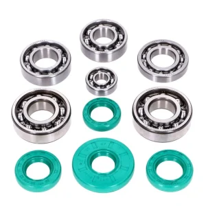 Sada kuličkových ložisek Schmitt Evolution, kovová klec, C3, FKM zelený se směrem otáčení pro motor Simson M500 Bezpečná Platba