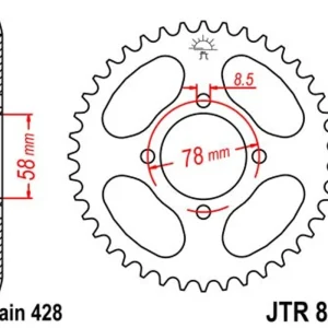 Doprava Zdarma Řetězová rozeta JT JTR 810-43 43 zubů, 428