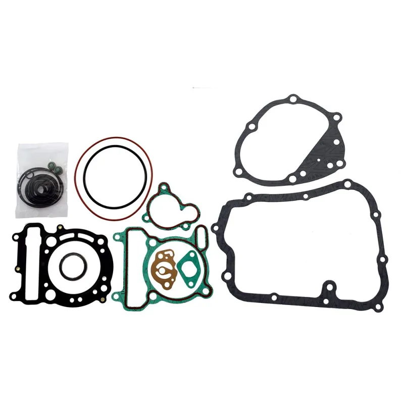 Těsnění motoru - sada RMS 100689800 Kup Teď