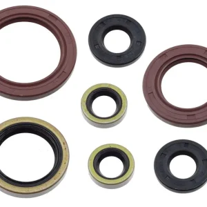 Cenový Hit PSYCHIC sada gufer motoru KTM EXC-F / SX-F 250 / 350 16-24, HUSQVARNA FC 250 / 350 16-24, FX 350 17-22, GAS GAS EC / EX / MC 250 F / 350 F 21-24