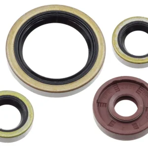 Sezónní Sleva PSYCHIC sada gufer motoru KTM EXC-F 450 / 500 17-24, SX-F / XC-F 450 16-22, XCF-W 450 23-24, HUSQVARNA FC / FE / FS / FX 450 / 501 17-24, GAS GAS EX / MC 450 F 21-24 (822374)