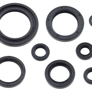 Speciální Cena PSYCHIC sada gufer motoru HONDA CRF 250 R 18-22, CRF 250 RX 19-22 (822996)