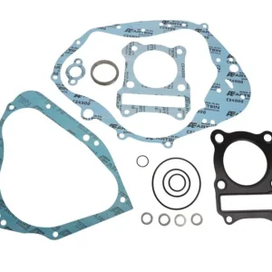 Nejlepší Volba XRADICAL (ARTEIN GASKETS) kompletní sada těsnění HYOSUNG GF 125
