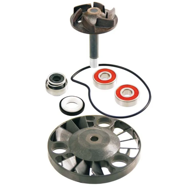 RMS opravná sada vodní pumpy PIAGGIO BEVERLY 125/200 01-05; X8 125/200 04; X9 125/200 00- 03; GILERA RUNNER 125/180/200 00-04; APRILIA ATLANTIC 125 03-05; SCARABEO 125 03-06 Limitovaná Edice