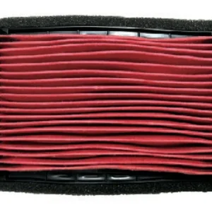 Vysoce Kvalitní EMGO vzduchový filtr TRIUMPH TRIDENT 660 21-24 (T2205986)