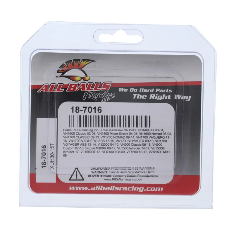 Akční Nabídka ALL BALLS čepy brzdových destiček zadní KAWASAKI VN 900/1500/1600/1700, SUZUKI VL 1500, VLR 1800, VZR 1500